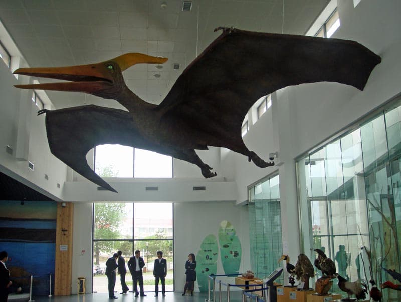 qinhuangdao bird museum