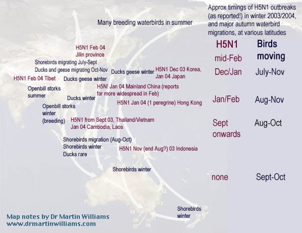 Basic info on wild birds and H5N1 avian influenza