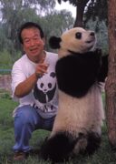 Panda expert Pan Wenshi
