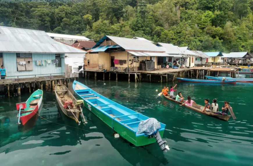 Seram and Haruku, South Maluku: The Islands Where Birds Colour the World￼
