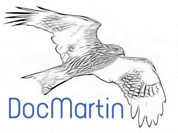 DocMartin