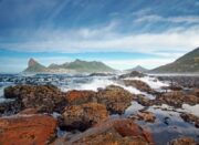 Cape Town Nature and Culture Combo Makes for a Top Sustainable Tourism Destination