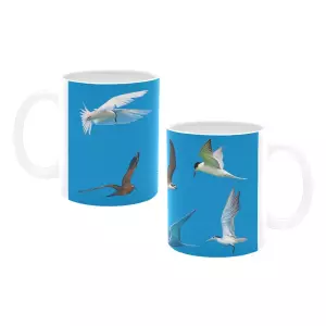 Hong Kong Terns Mug (11 OZ)