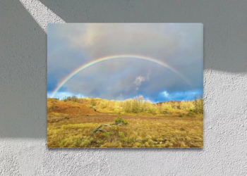 Tarn Hows Rainbow Framed Canvas Print 20×16 inches