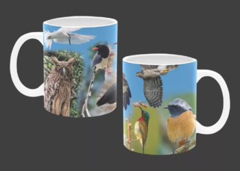 Beautiful Cheung Chau Birds Mug