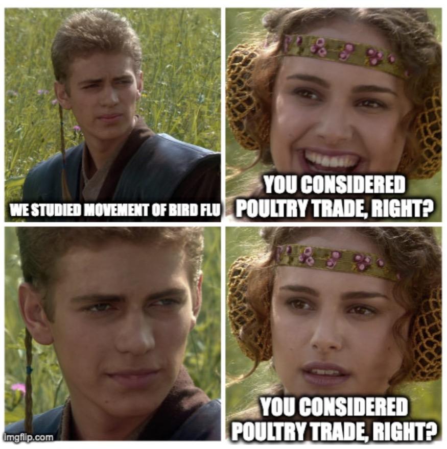 you considered poultry trade meme